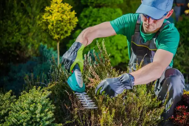 landscaping services Cooter